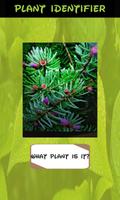 1 Schermata Identificatore della pianta