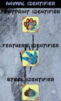 Identifier of Animal Traces poster