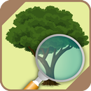 標識符樹木和植物 APK