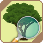 Identifier trees and plants আইকন