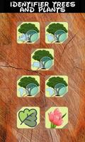 Identifier trees and plants poster