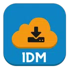 1DM