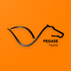 PEGASE-Propreté APK