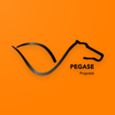 PEGASE-Propreté APK