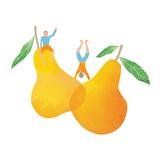 The Happy Pear: Healthy Living