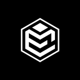 Michigan Elite icon