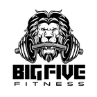 Big Five Fitness icon