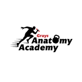 Gray's Anatomy Academy