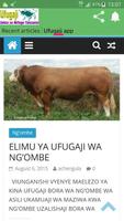 Ufugaji gönderen