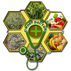 Crop Doctor ikona