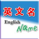 英文名 APK