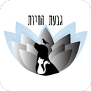 גבעת החיות  בקליק APK