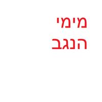 מימי הנגב 2 海報