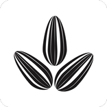 פיצוחי חממה