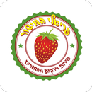 פריאלי פירות וירקות APK