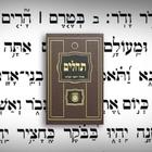 Tehillim 아이콘