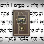 Tehillim Ohel Yosef Yitzchak