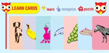 Learn Cards