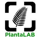 PlantaLAB biểu tượng
