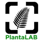 PlantaLAB 圖標