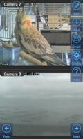 IP Cam Viewer for Maginon cams screenshot 1