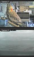 Foscam IP camera viewer screenshot 2