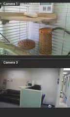 download Viewer for Panasonic ip cam APK