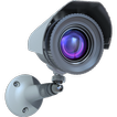 IP Viewer for D-link Camera