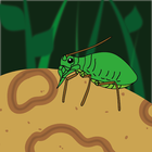 PVY Predictor icon