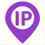 IP & Domain Info - VPN Check Tool