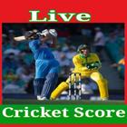 Live Cricket Score icône