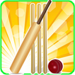 T20 Cricket Blast 2014