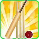 T20 Cricket Blast 2014 icono