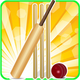 T20 Cricket Blast 2014 icône