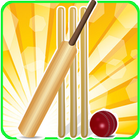 T20 Cricket Blast 2014 ícone