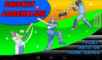 T20 Cricket Blast 2014 Affiche