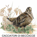A Caccia di Beccacce