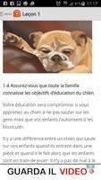 Entraînez Votre Chien постер