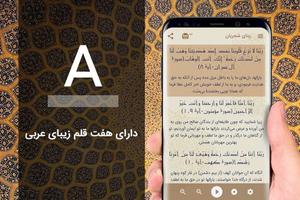 ربنای شجریان screenshot 2