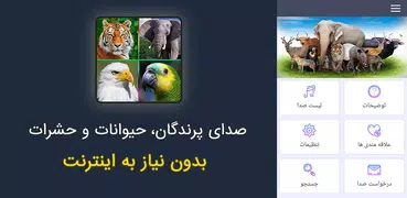 صدای پرندگان و حیوانات