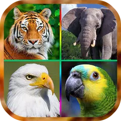 Descargar XAPK de صدای پرندگان و حیوانات