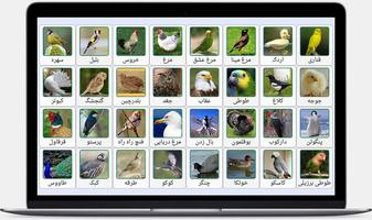 صدای پرندگان و حیوانات الملصق