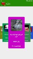 رماندونی 4 screenshot 1