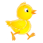 Catchy Chick ikona