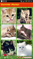 Cute Cat Sliding Puzzle screenshot 2