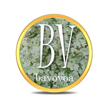 Bavovoa