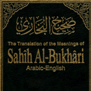 Sahih Bukhari English APK
