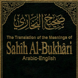 Sahih Bukhari English-APK