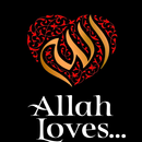 Islamic Books of Heart & Soul APK