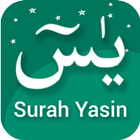 Surah Yaseen icône
